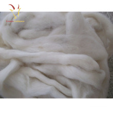 Pure Comded Mongolian Raw Sheep Cashmere Wool Fiber For Sale